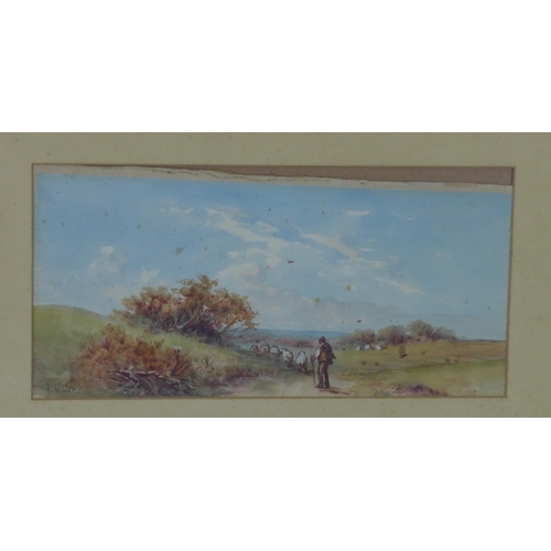 343 - J Wilton, watercolour, signed, framed under glass, 34 x 17cm