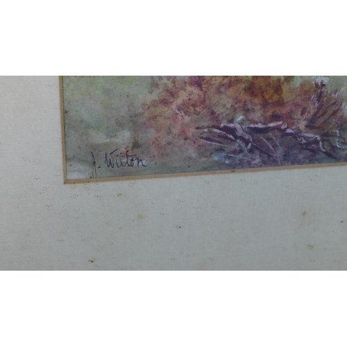 343 - J Wilton, watercolour, signed, framed under glass, 34 x 17cm