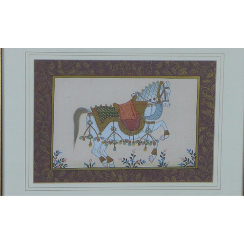 357 - Indian School gouache of a ceremonial horse, framed under glass, 20 x 13cm