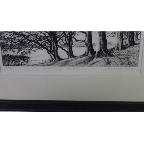 359 - Pamela Grace, 'January Beeches', engraving, signed in pencil, titled and numbered 9/150, framed unde... 