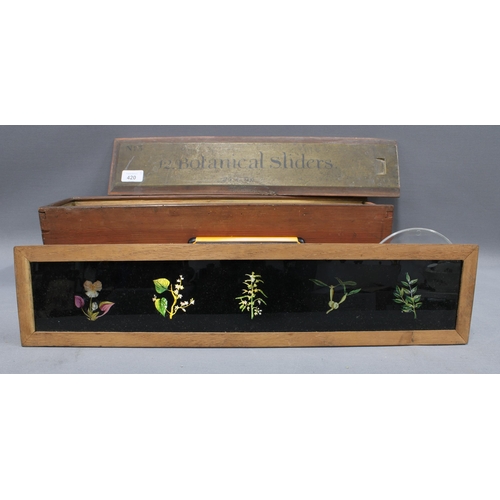 420 - A set of late 19th / early 20th century botanical glass slides, continued with three boxes numbered ... 