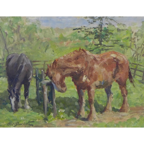 171 - Nancy Alexis Brackett, an oil on board of two horses grazing, signed and framed, 45 x 35cm