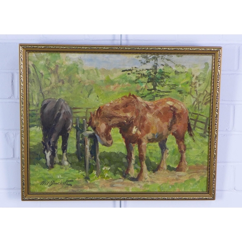 171 - Nancy Alexis Brackett, an oil on board of two horses grazing, signed and framed, 45 x 35cm