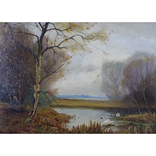 126 - Late 19th century school, swans on the lake,  oil on canvas, signed indistinctly, giltwood frame, 34... 