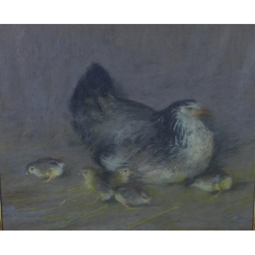 145 - Brooding Hen, mixed media on paper, apparently unsigned, under glass within an ornate gilt frame, 60... 