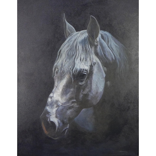 149 - A. Hawkins, Horses Head, oil on canvas, singed and framed 60 x 75cm