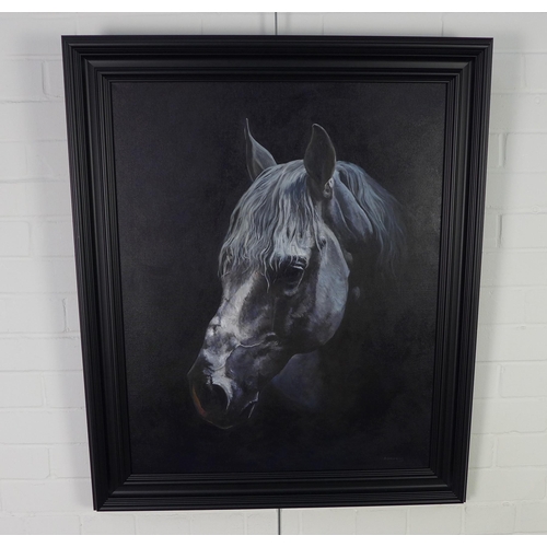 149 - A. Hawkins, Horses Head, oil on canvas, singed and framed 60 x 75cm