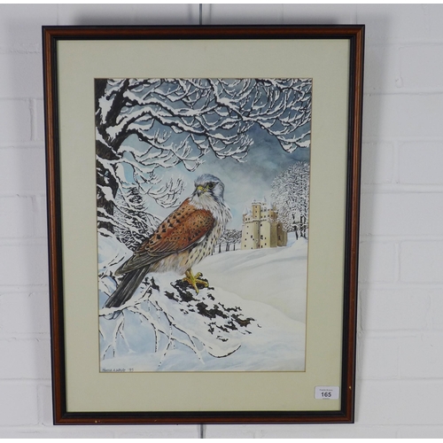 165 - Morna Whyte 'Kestrel at Castle Fraser', watercolour, signed and darted '93, framed under glass, 36 x... 