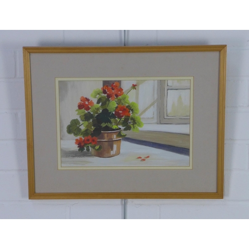 167 - C.C Henderson, watercolour of a flowering plant, signed and framed under glass, 31 x 21cm