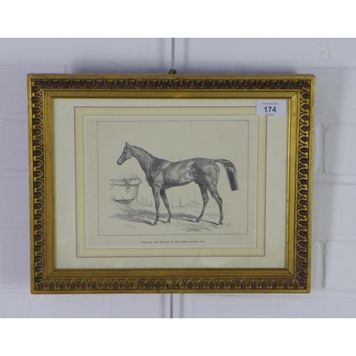 174 - Surplice - The Winner of the Derby Stakes, print, framed under glass, 37 x 29cm  including frame