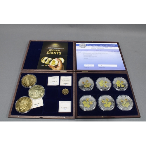 346 - Windsor Mint thirteen sets of gold plated commemorative coins, to include Portrait of a Princess, Tr... 