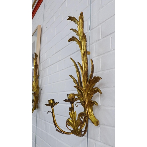 222 - Pair of giltwood and metal two branch wall sconces, 58 x 25cm (2)