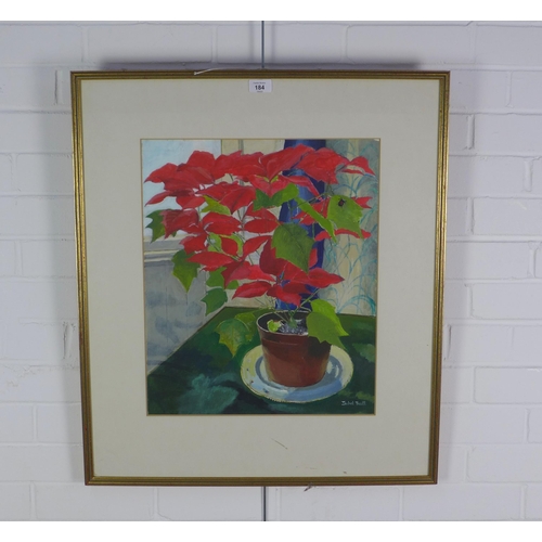 184 - Isabel Traill, Poinsettia, gouache, signed and framed under glass, 40 x 50cm