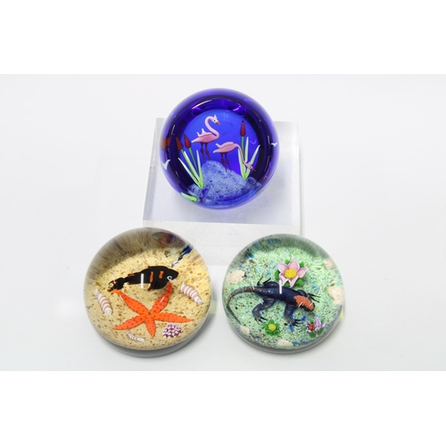 85 - Caithness Glass paperweights, limited editions to include Flamingoes, Fire Lizard, Sea Bed all by Wi... 