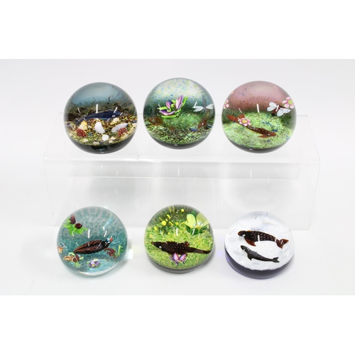 86 - Caithness Glass paperweights, William Manson limited editions to include Pheasant, Duck Pond, Pengui... 