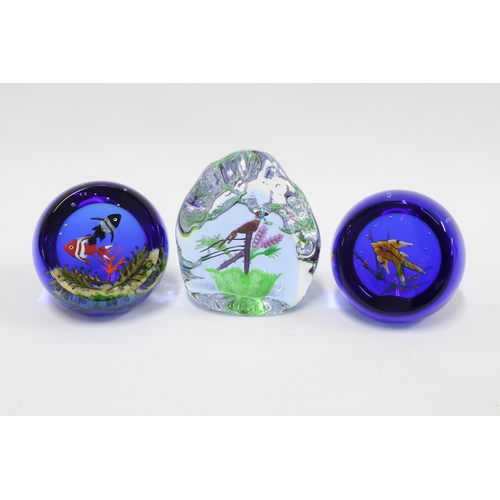 86 - Caithness Glass paperweights, William Manson limited editions to include Pheasant, Duck Pond, Pengui... 