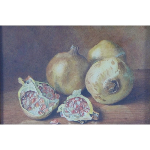 11 - Agnes Louise Holding (British), watercolour still life of pomegranates, signed, under glass within a... 
