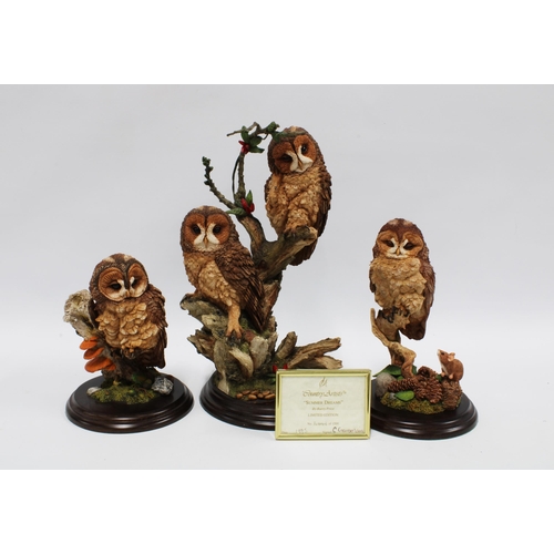 119 - Three Country Artists tawny owls, 'Tawny Owl' CA537, 'Tawny Owl with Mouse' CA538, and limited editi... 