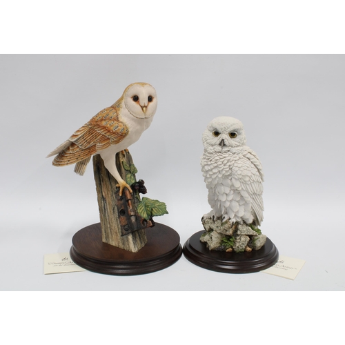 120 - Two  Country Artists owls, 'Snowy Owl' CA399 and a barn owl, taller 26cm