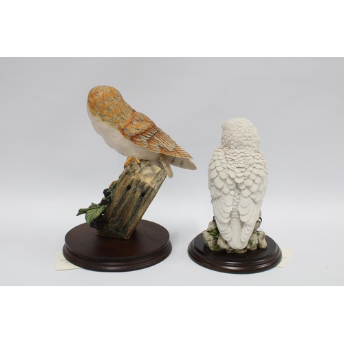 120 - Two  Country Artists owls, 'Snowy Owl' CA399 and a barn owl, taller 26cm