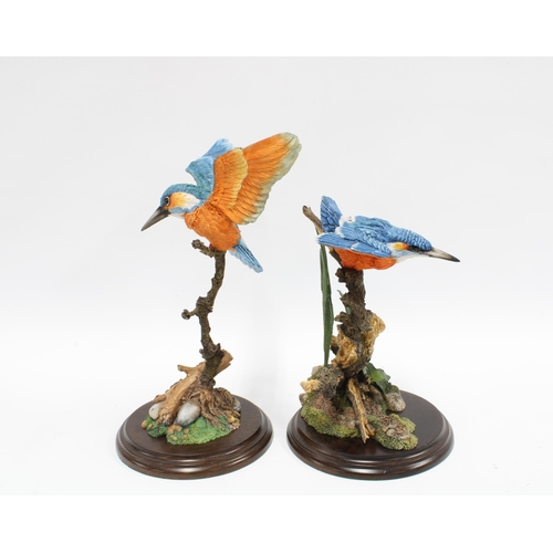 148 - A Royal Doulton kingfisher, 20cm, together with a Country Artists kingfisher, both on wooden bases 2... 