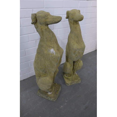 263 - Pair of composite garden greyhounds, 75cm high (A/F). (2)