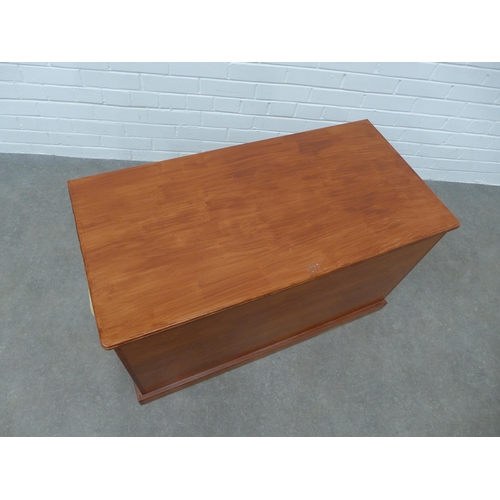 289 - Modern stained wood storage box with hinged lid and void interior, 96 x 56 x 48cm