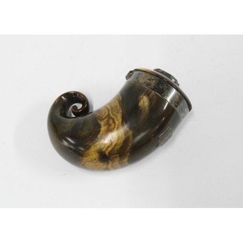 449 - Scottish curly horn snuff mull, white metal mounted with hinged lid, 8cm