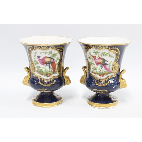 81 - A pair of campana vases,  blue scale ground with exotic bird panels, each with a Worcester style squ... 