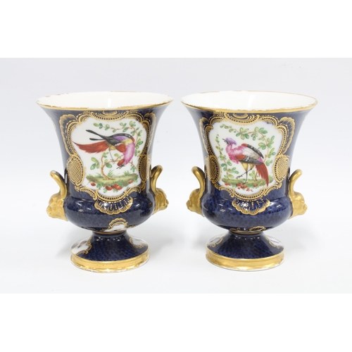 81 - A pair of campana vases,  blue scale ground with exotic bird panels, each with a Worcester style squ... 