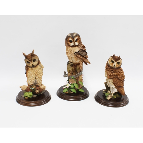 472 - Country Artists Long Eared owl, CA397, Tawny Owl with Honeysuckle CA441 & Short Eared Owl CA396, all... 