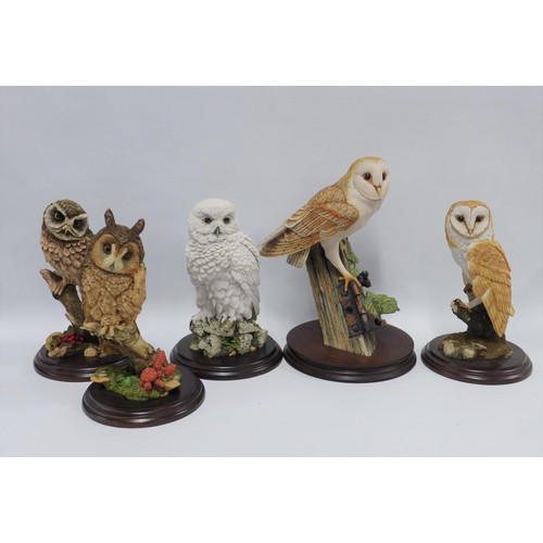 477 - Five Country Artists owls, including 'Little Owl' CA398, 'Barn Owl' CA431, a 'Long Eared Owl' CA692,... 