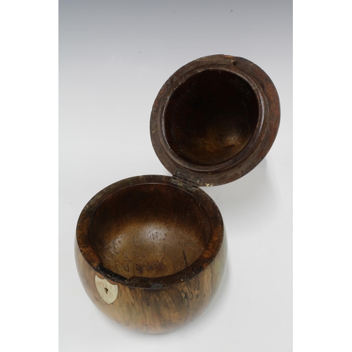 139 - A large fruitwood pear shaped caddy with faux ivory escutcheon, 31cm.