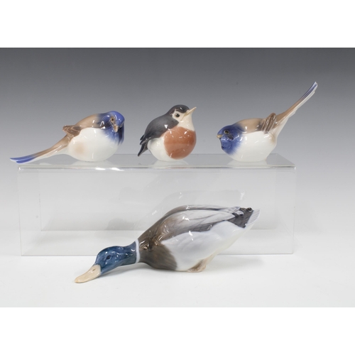 144 - Royal Copenhagen duck a robin and two Bing & Grondahl birds (4) 20cm.