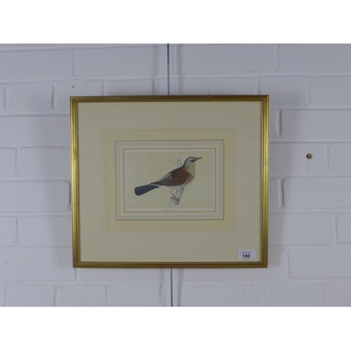 180 - Rev F.O. Morris, hand coloured print of a Fieldfare, framed under glass, 18 x 12cm