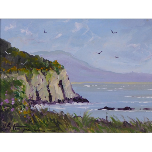 185 - J.C Sturgeon, a pair of oil on board panels, to include Cliffs at Portree and Rough Isle, signed 18 ... 