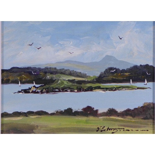 185 - J.C Sturgeon, a pair of oil on board panels, to include Cliffs at Portree and Rough Isle, signed 18 ... 