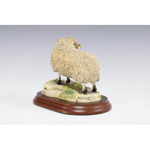 83 - Border Fine Arts model of a Blackfaced Ram, by Anne Wall, signed, with wooden base, 11 x 13cm.