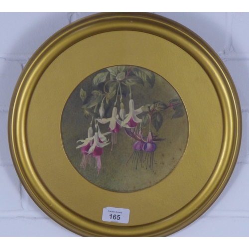 165 - Early 20th century watercolour of Fuchsia, apparently unsigned, framed under glass in a circular gil... 