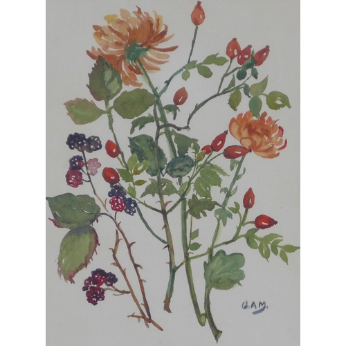 168 - Gertrude A Matheson, 'Brambles and Flower' watercolour, signed with initials, framed under glass 24 ... 
