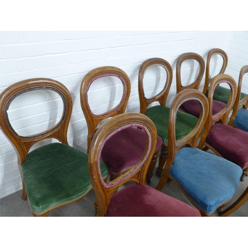 241 - Victorian set of twelve rosewood balloon back chairs to include 2 armchairs, 54 x 93 x 51cm. (121)