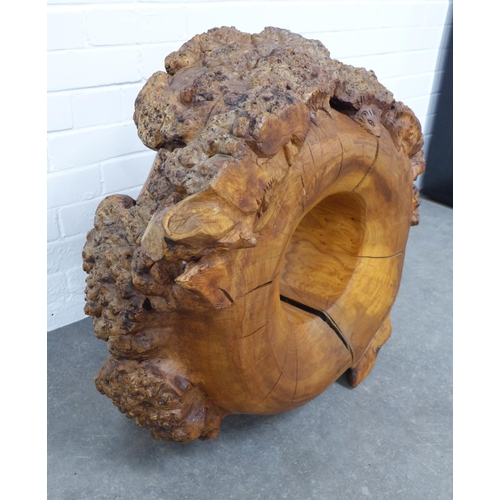 273 - 'Dreams of Being The Wheel' hedgehog carved burr wood, singed with a monogram and dated 2003, 75 x 3... 