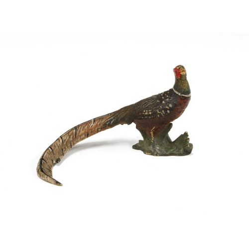 419 - Cold painted bronze Pheasant, 12 x 5cm