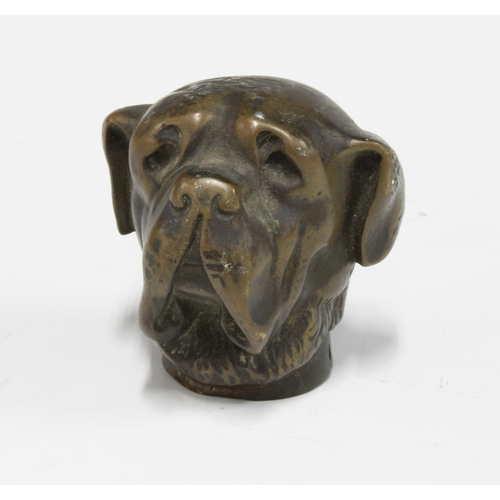 423 - A late 19th / early 20th century bronze dogs head, likely from a walking cane, 4.5cm