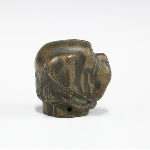 423 - A late 19th / early 20th century bronze dogs head, likely from a walking cane, 4.5cm