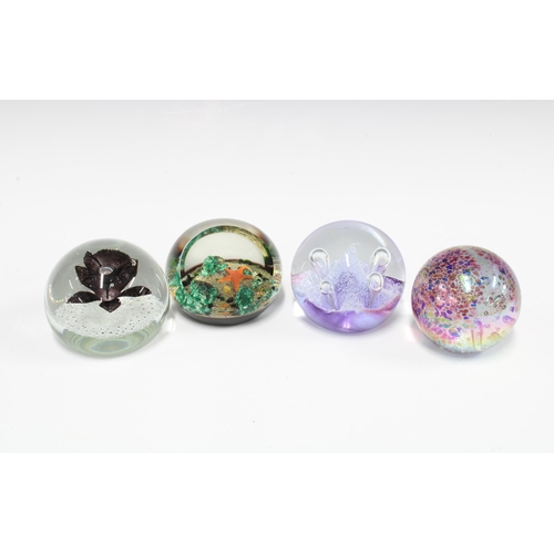 93 - Four paperweights, including Caithness Moonflower and a Selkirk glass starfish paperweight (4)
