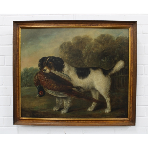 117 - 19th CENTURY SCHOOL, UNTITLED SCENE WITH GUN DOG AND PHEASANT, oil on canvas, apparently unsigned, f... 