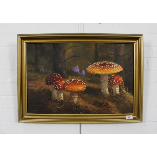 97 - UKRANIAN SCHOOL, TOADSTOOLS, oil on canvas, signed indistinctly 1994, framed.  49 x 39cm