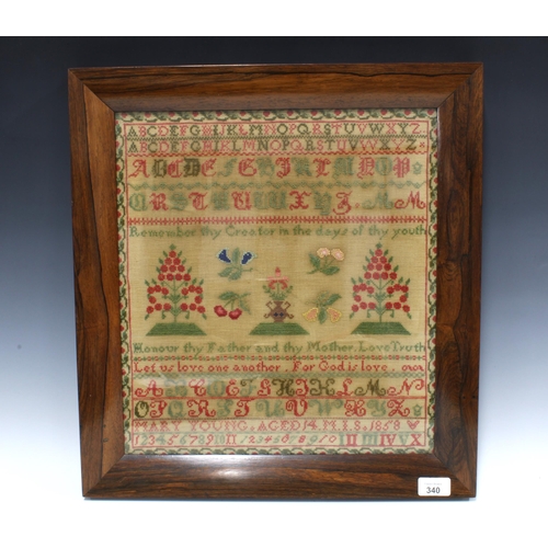 340 - Victorian needlework sampler, worked by Mary Young, Aged 14, dated 1858, framed under glass with a r... 