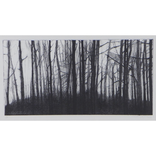 164 - WENDY SUTHERLAND, TREE LANDSCAPE, FRAMED PRINT, SIGNED IN PENCIL AND NUMBERED 1/10, 54 X 30cm